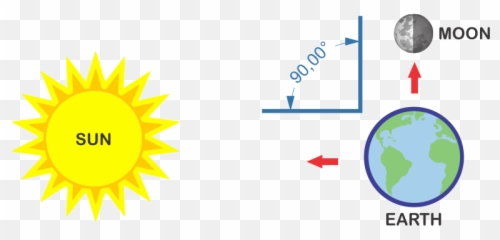 Download Neap Tide Explained - Complementary Relationship Between Cellular Respiration And Photosynthesis Emoji,Trippy Emoji