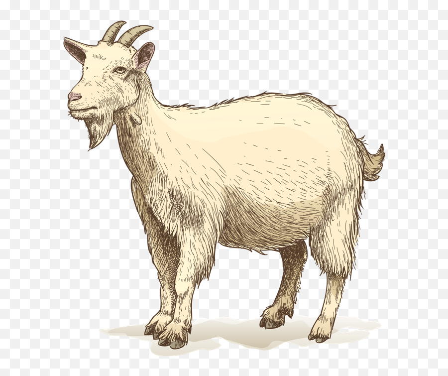 Goat Drawing Clip Art - Goat Png Drawing Emoji,Funny Dirty Goat Emojis