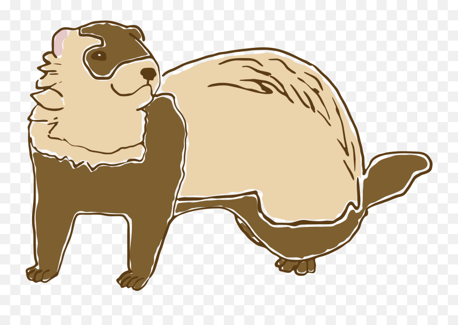Ferret Drawing Free Image Download - Ferret Emoji,How To Draw Emotions Of Furries