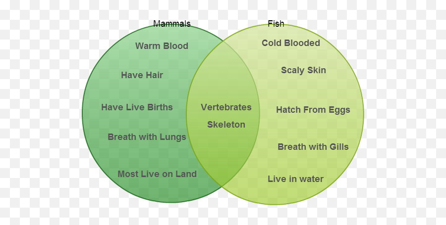 Teaching Vocabulary Effectively - Family Venn Diagram Example Emoji,Tier 3 Emotion Vocabulary