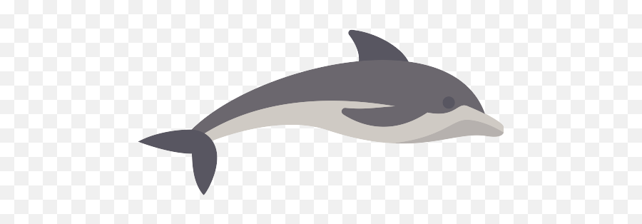 Dolphin Vector Svg Icon - Common Bottlenose Dolphin Emoji,Dolphin Emoji Vector