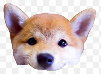 Shiba Dogs Head - Northern Breed Group Emoji,Shiba Emoji