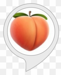 Squats Workout Amazonin Alexa Skills Emoji,Workout Emojis Png