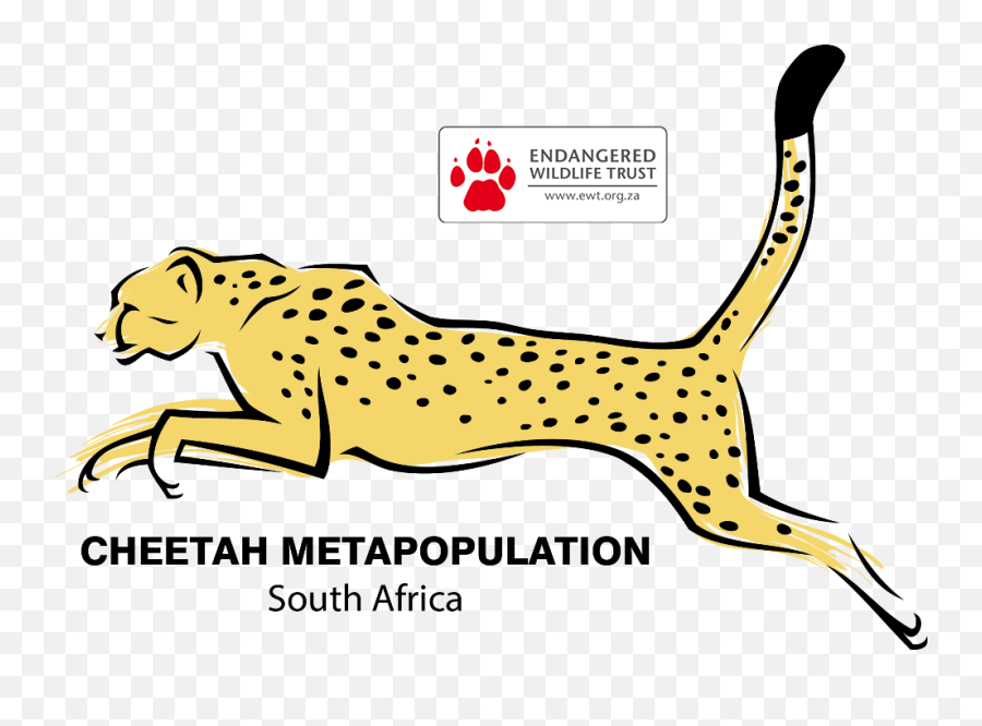 Cheetah Clipart African Cheetah - Ewt Cheetah Metapopulation Project Emoji,Cheetah Emoji