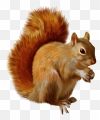 Free Cartoon Squirrel Png Download - Clip Art Of Squirrel Emoji,Red Squirrel Emoji