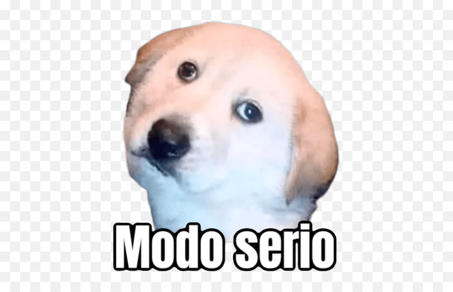 Modo Serio - Modo Serio Sticker Emoji,Emoji Serio