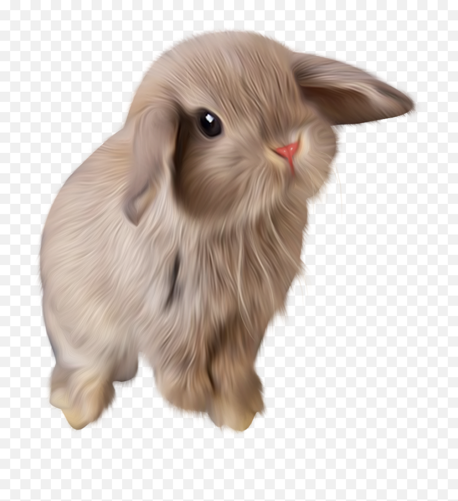 Pin - Imagenes De Conejos Tiernos En Formato Png Emoji,Mouse Rabbit Squirrel Emoji