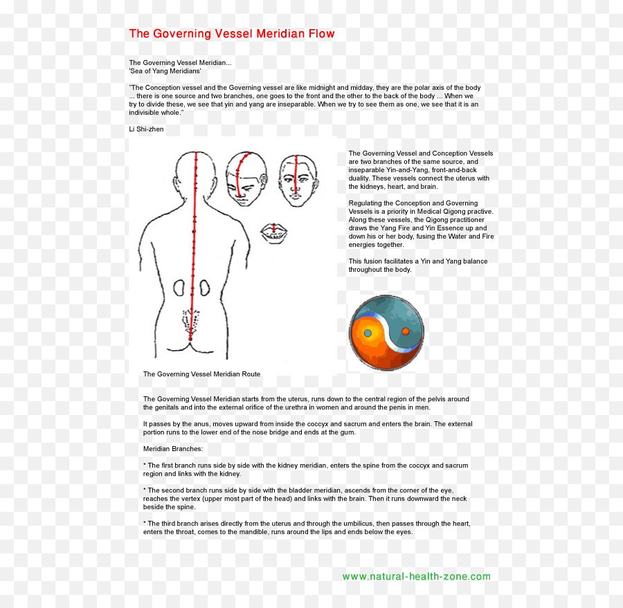 Governing Vessel Traditional Chinese Medicine Acupuncture - Dot Emoji,Kidney Meridian Emotions