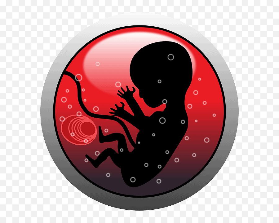 Pregnancybabybaby Bellypregnanthuman - Free Image From Embryo Vector Emoji,Pregnant With Emotion