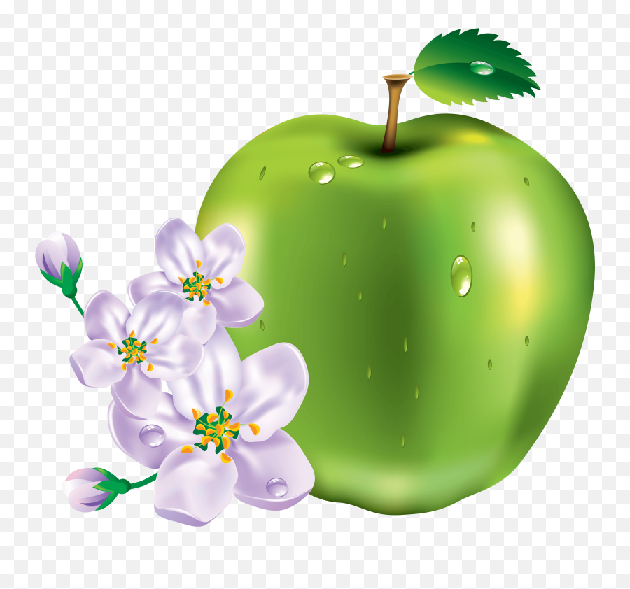 15 Green Apple Png Image - Flower With Fruits Png Emoji,Golden Apple Emoji