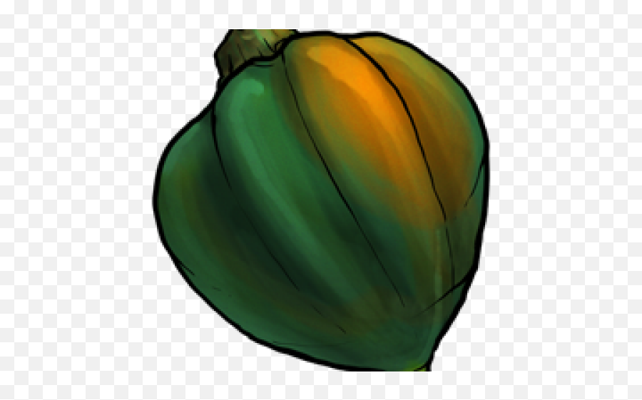 Download Zucchini Clipart Gourd - Acorn Squash Full Size Acorn Squash Clipart Transparent Background Emoji,Squash Emoji