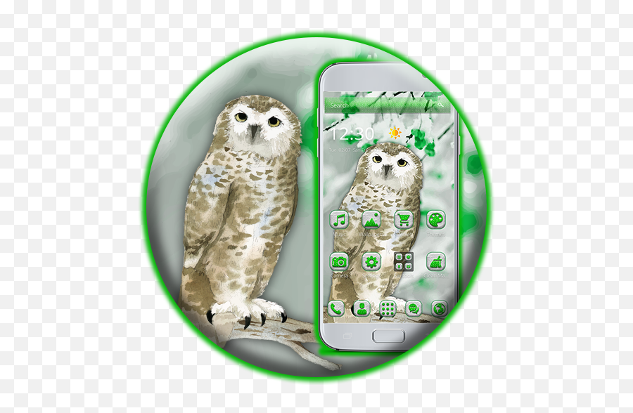 Amazon - Snowy Owl Emoji,Owl Emojis For Android