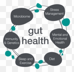 Health - Gut Health Emoji,Sweet Emotions The Kooks