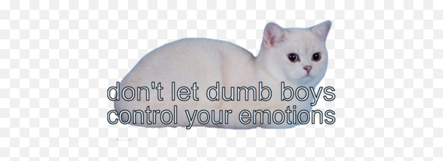 Pin - Don T Let Control Your Emotions Emoji,Emotion Meme Letting Go