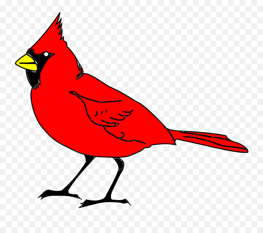 Cardinal Bird Cartoon - Cardinal Bird Clipart Emoji,Cardinal Emoji
