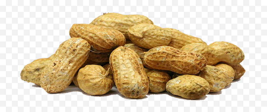 Peanuts Clipart Peanut Plant Peanuts Peanut Plant - Ground Nut Png Emoji,Nuts Emoji