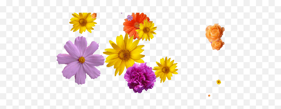 Top Flower Blade Vista Stickers For Android U0026 Ios Gfycat - Animated Transparent Flowers Gif Emoji,Emoji Emoticons For Vista