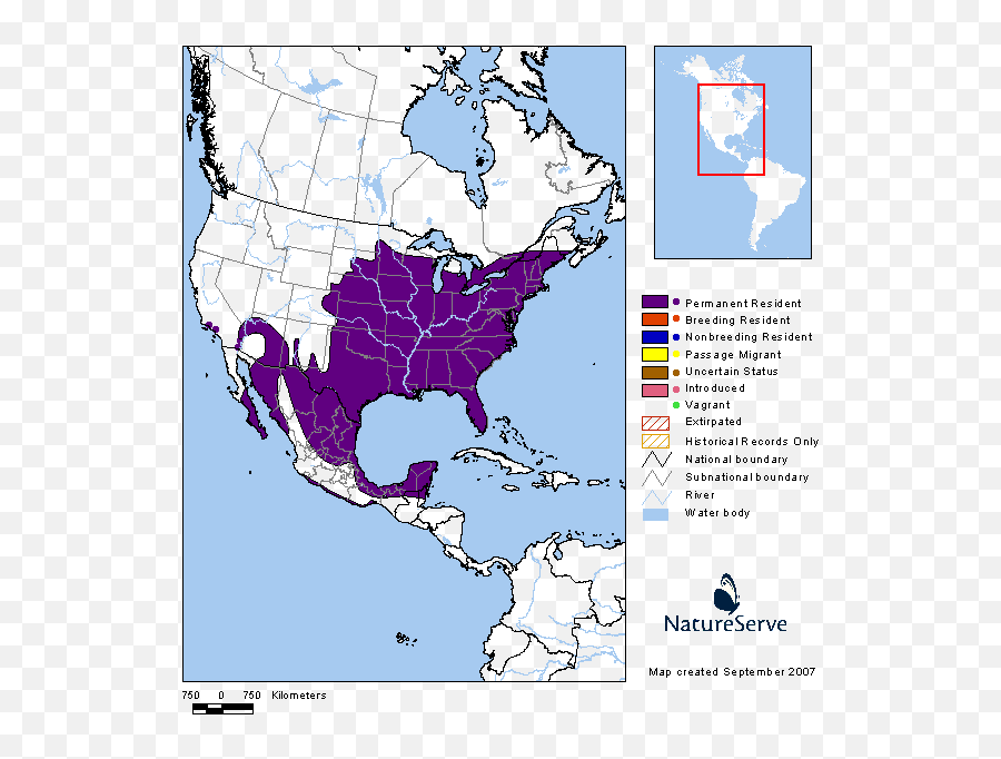 Northern Cardinal State Of Tennessee Wildlife Resources - Range Eastern Gray Squirrel Emoji,Cardinal Bird Facebook Emoticon