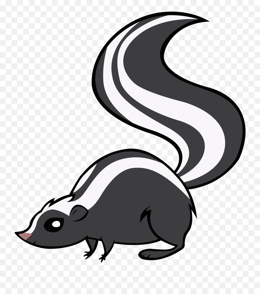 Skunk Png Picture - Skunk Clipart Black And White Emoji,Skunk Emoji