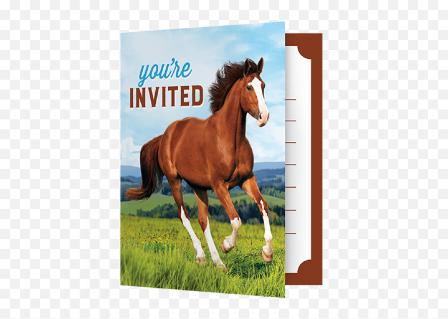 Horse And Pony Party Invitations 8 Emoji,Emoji Riding A Horse