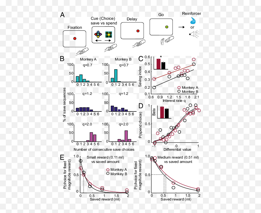 Behavioral Task And Economic Choice Behavior A Sequence Emoji,Emotions Monkey Brain