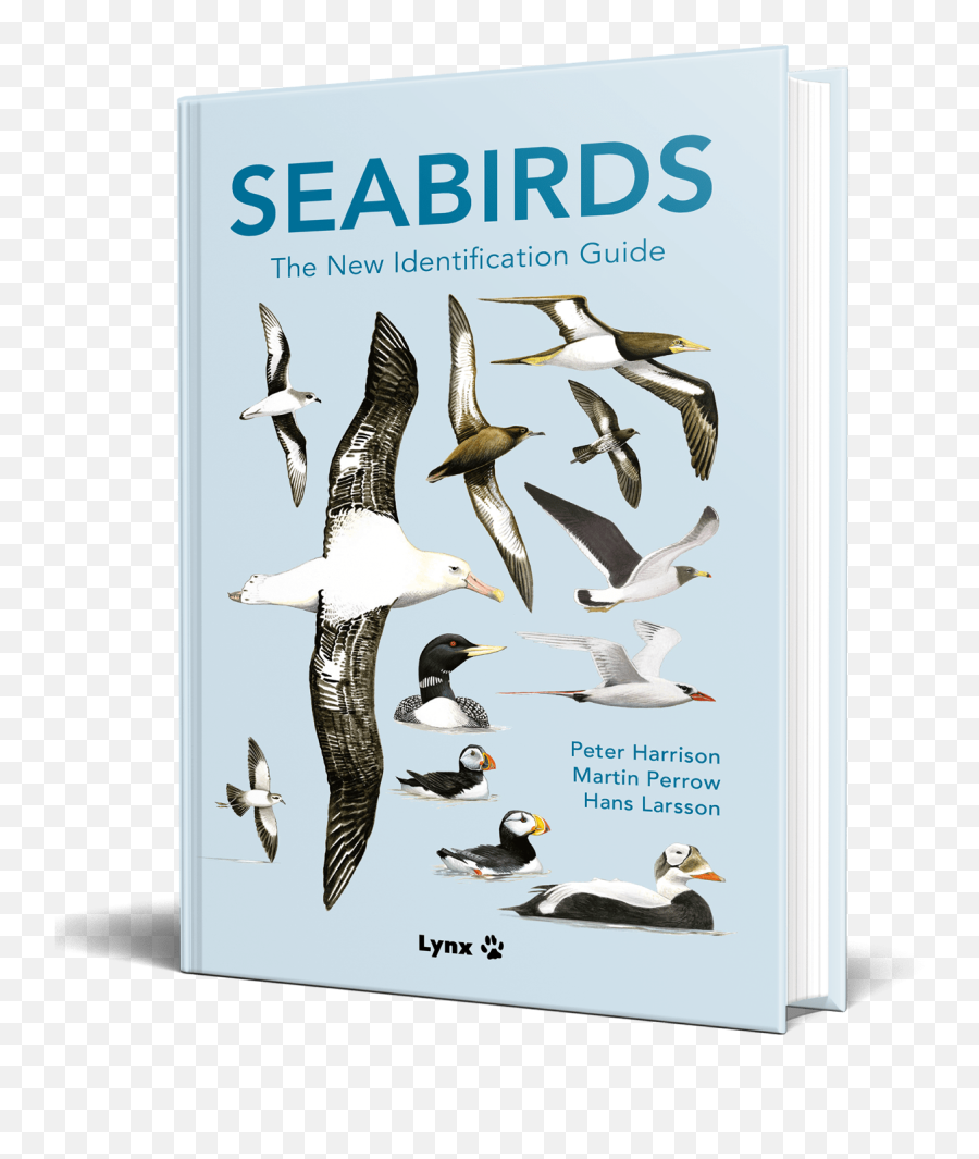 Lynx Edicions U2013 Publishers Of The Highly Acclaimed Handbook - Seabirds Book Emoji,Man Plus Book Emoji
