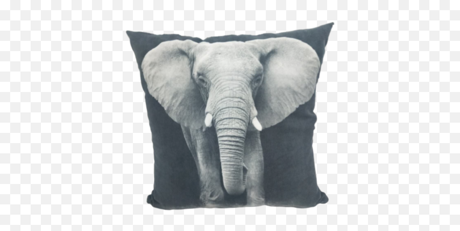 China Wall Pillow China Wall Pillow Manufacturers And - Elephant From Front View Emoji,Moon Emoji Pillows