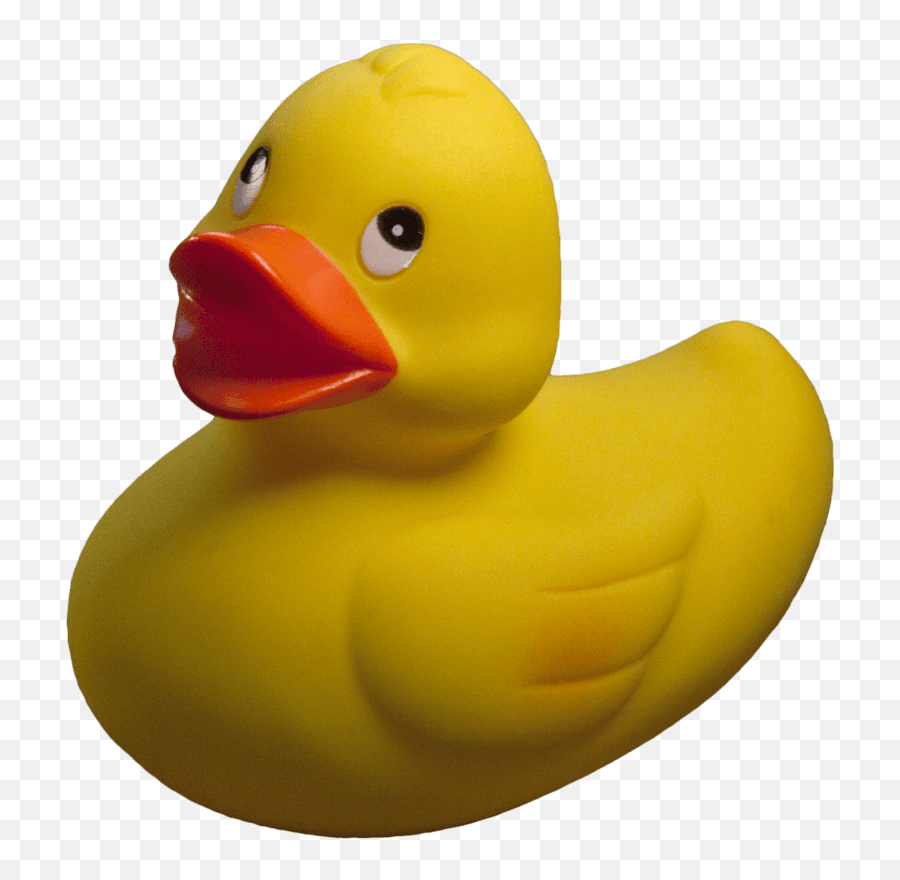 Duck Png And Vectors For Free Download - Dlpngcom Rubber Duck Transparent Background Emoji,Rubber Duck Emoji