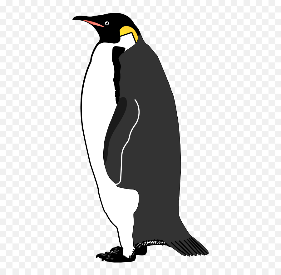 Emperor Penguin Bird Vector Graphics Image - Lovebirds Png Lovely Emoji,Olympic Torch Emoji