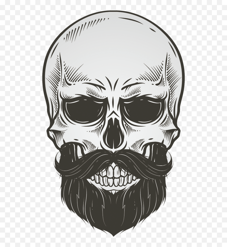 Download Bearded Skull Illustration Vector Drawing Beard - Skull Beard Png Transparent Emoji,Bearded Emoticon