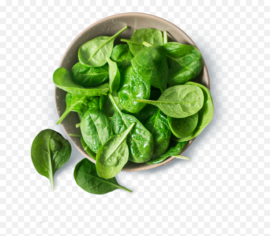 Tasty Google Assistant - Spinach Png Emoji,Spinach Emoji