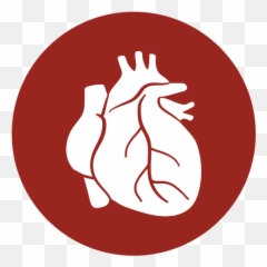 Fit For A Rider - Gut Microbiota And Heart Emoji,Emotion Roller Trainer