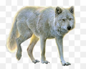 Little Red Riding Hood - Wolf Walking Png Emoji,Red Wolf Emojis
