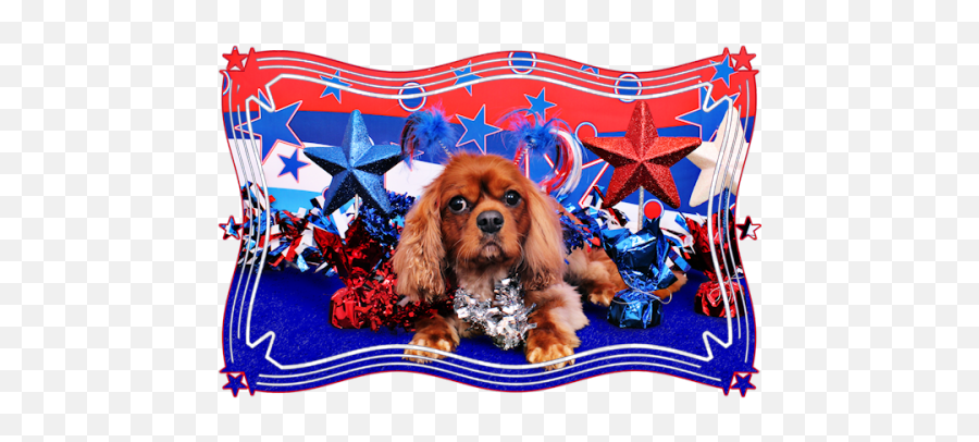 2013 - Happy 4th Of July Westie Dog Emoji,Cavalier King Charles Spaniel Sticker Emoji