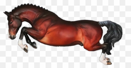 The Most Edited Showjumping Picsart - Animal Figure Emoji,Horse And Muscle Emoji