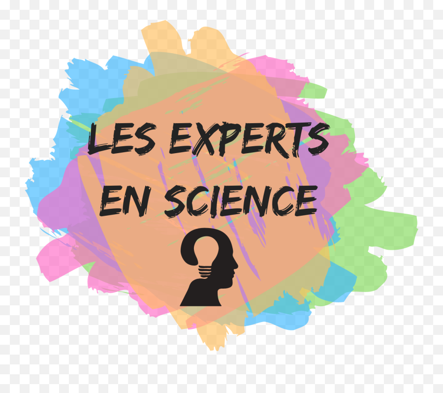 La Technique Des Palais De La Mémoire - Les Experts En Science Emoji,Le Labyrinthe Des Emotions