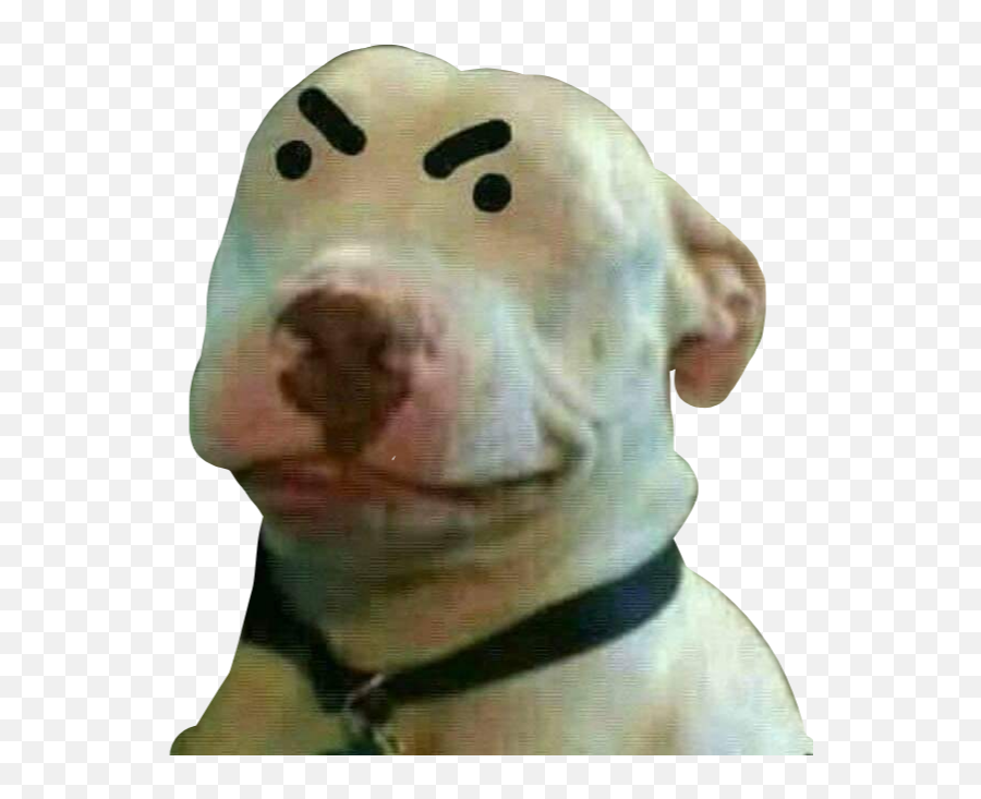 Largest Collection Of Free - Toedit Pokerface Stickers On Picsart Emoji,Emoji Ceja Levantada Largest Collection Of Free - Toedit Pokerface Stickers On Picsart Emoji,Emoji Ceja Levantada