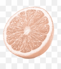 Tequila Paloma U2013 Troop Beverage Co Emoji,Citrus Emoji