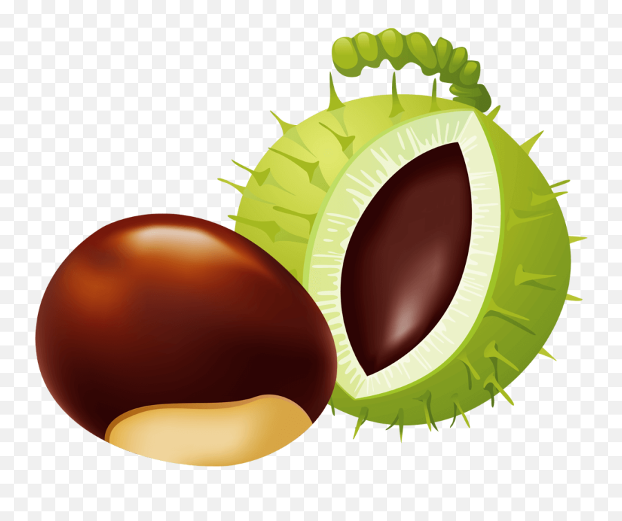 Chestnut Clipart Png Emoji,9.2 Emojis