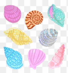 Seashells Seashell Ocean Sea Sticker By Shushu - Sandylion Png Emoji,Seashell Emoji