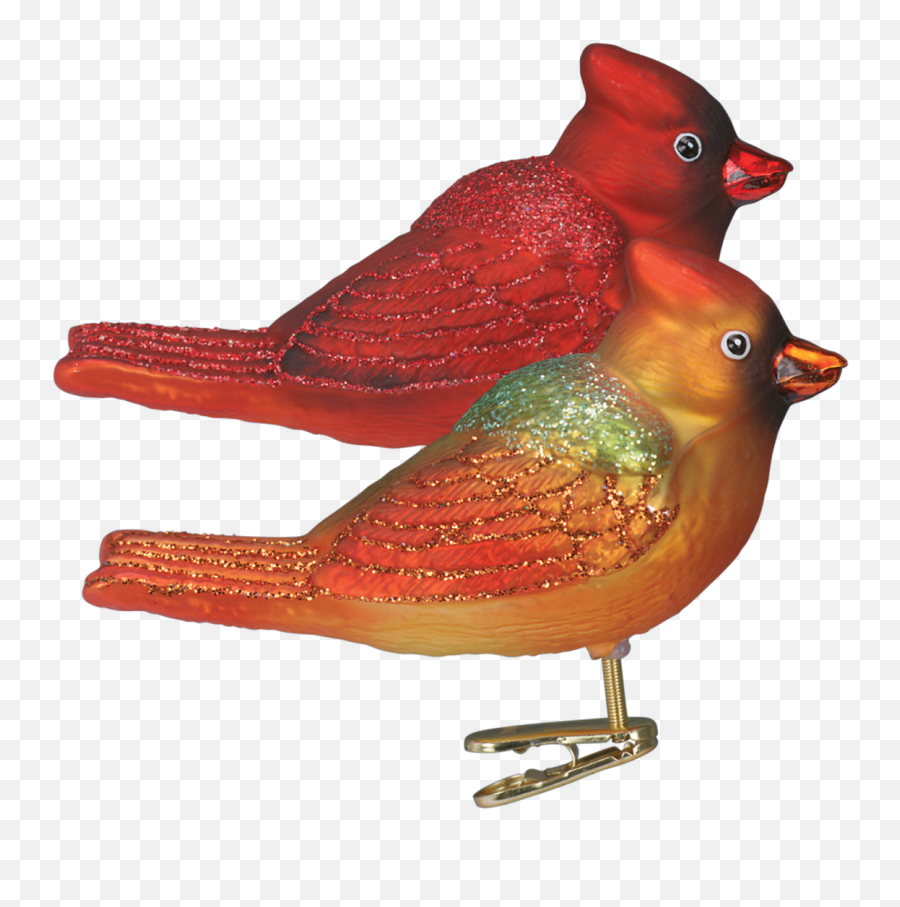 Winter Cardinal Clip - On Glass Ornament Choose 3 X 4 12 Old World Christmas Emoji,Cardinal Bird Facebook Emoticon