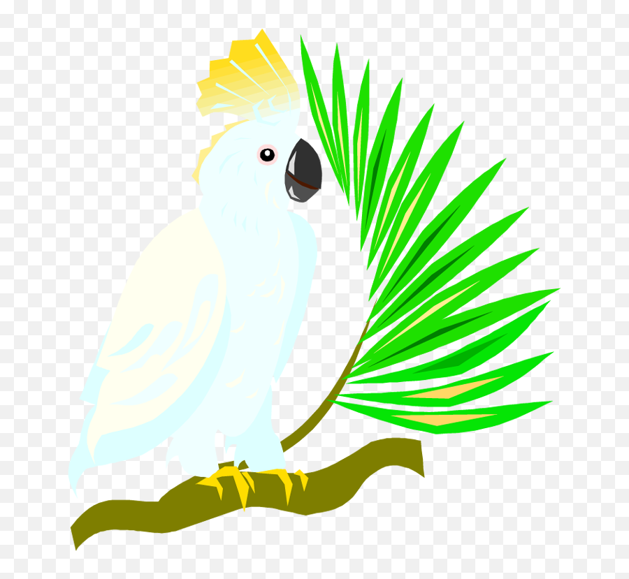 Flying Parrot Clipart - Cockatoo Clipart Transparent Background Emoji,Cockatoo Facebook Emoji