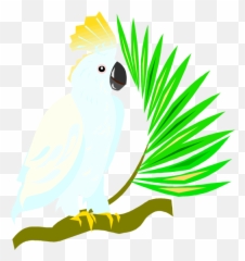 Flying Parrot Clipart - Cockatoo Clipart Transparent Background Emoji,Cockatoo Facebook Emoji