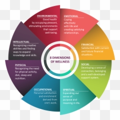 Defining U0027holisticu0027 And U0027stoicu0027 U2014 The Holistic Stoic - Graphic 8 Dimensions Of Wellness Emoji,Stoicism Emotions In Control