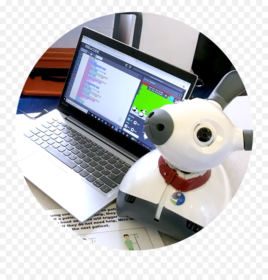 Miro - E Emoji,Video Of Small Robotic Toy With Emotion