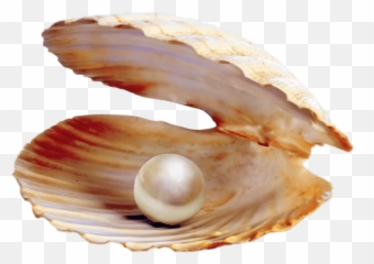 Oyster Pearl Sticker - Pearl Production From Bivalves Emoji,Oyster Emoji
