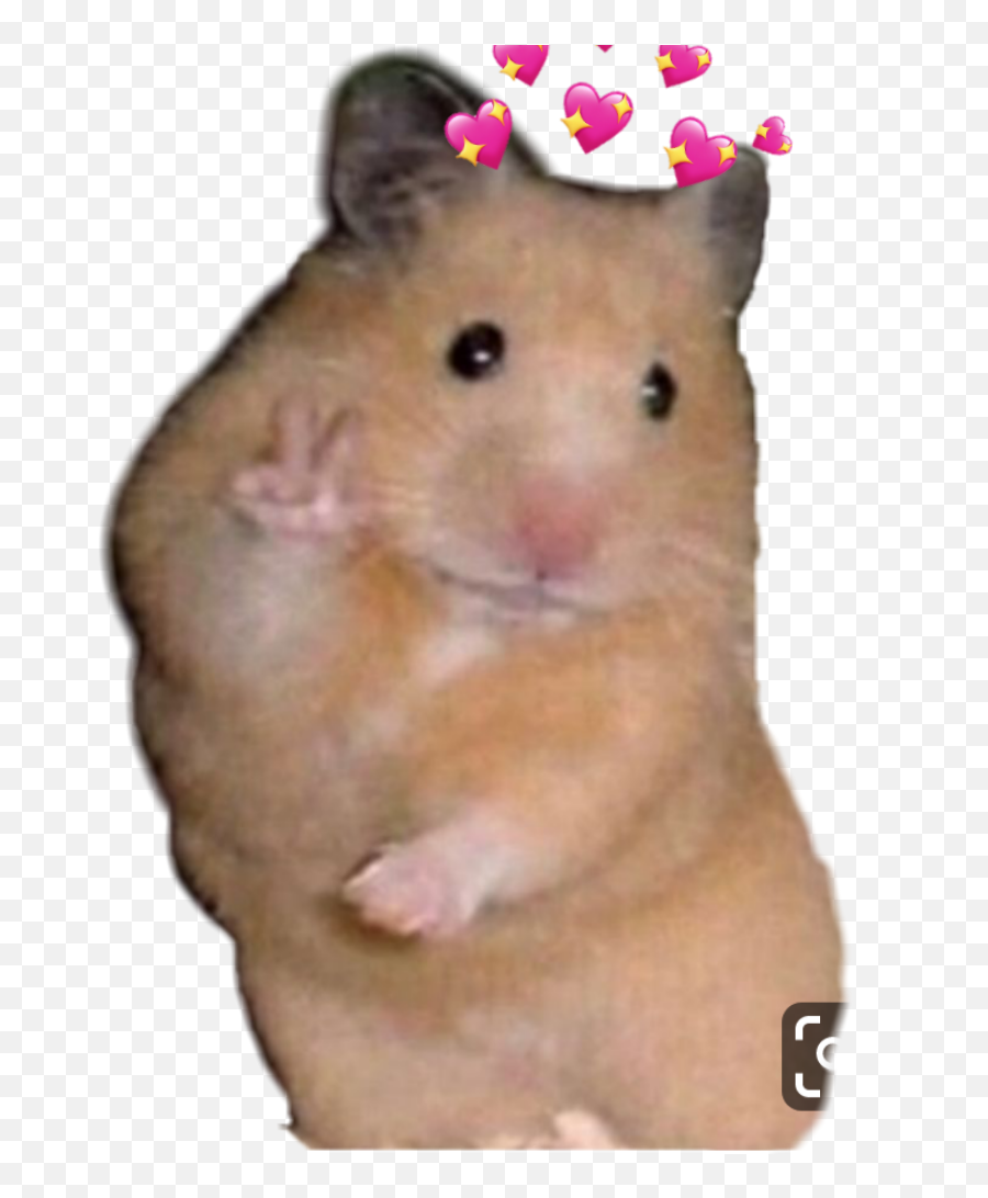 The Most Edited - Hamster Peace Sign Emoji,Mouse Bunny Hamster Emoji