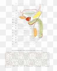 2 Ck Emotional - Document Emoji,Sociaal Emotion Activity