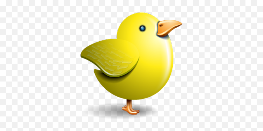 Imogen H Hiraki Himogen Twitter - Yellow Bird Twitter Png Emoji,Baby Chick Emojis