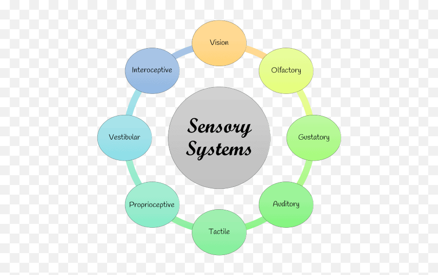 Blog Archives - Sensory Systems Emoji,Sensory Table And Emotions